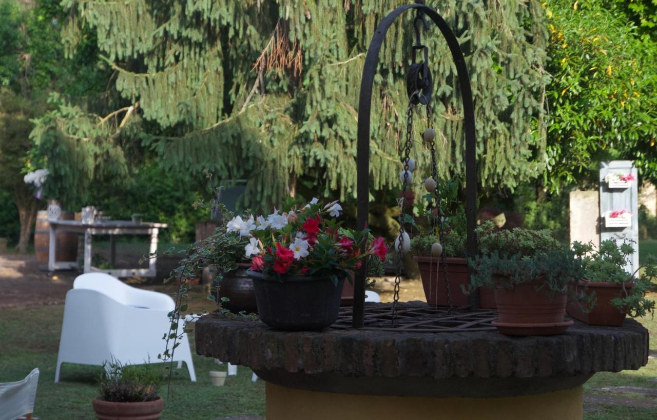 B&B Fetonte Crespino Esterno foto